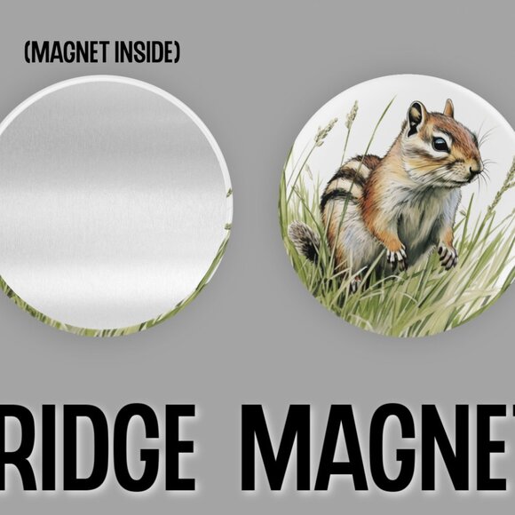 Chipmunk Fridge Magnets Set Of 6 Metal Magnets For Home Office Kitchen School - Picture 3 of 6